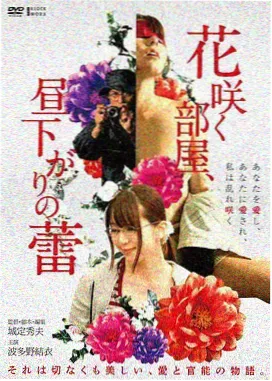 辽阳季节观察与水位记录贴纸档案图